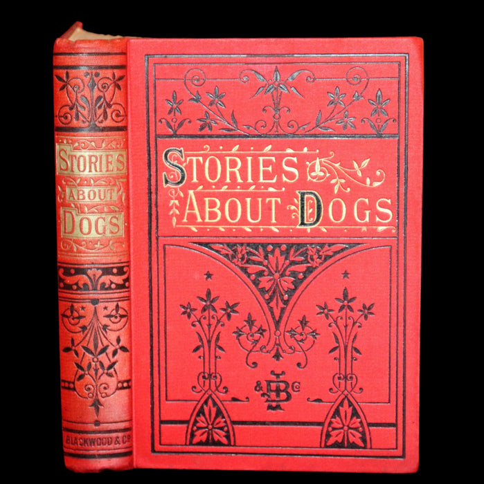 1890 Scarce Victorian Edition - Dogs, Their Sagacity, Instinct, and Uses; with Stories of Dog Life.