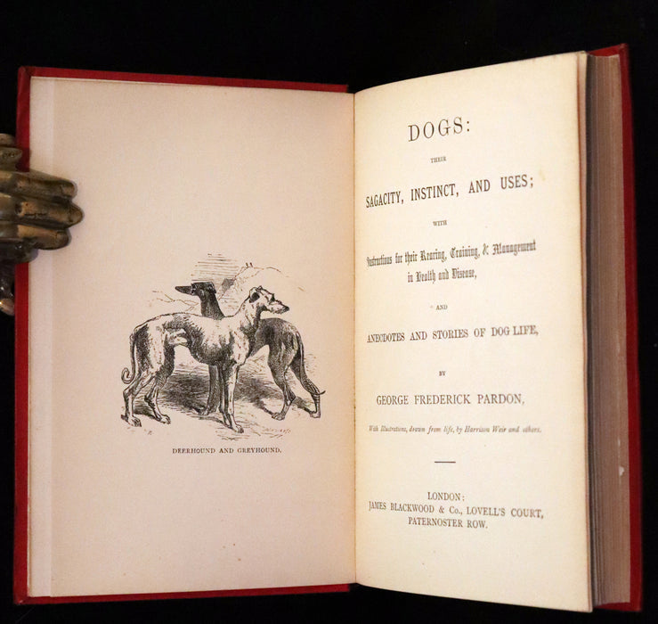 1890 Scarce Victorian Edition - Dogs, Their Sagacity, Instinct, and Uses; with Stories of Dog Life.