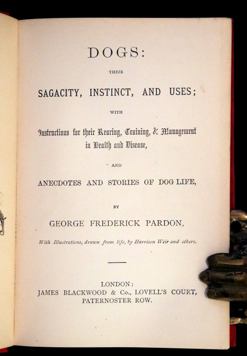 1890 Scarce Victorian Edition - Dogs, Their Sagacity, Instinct, and Uses; with Stories of Dog Life.