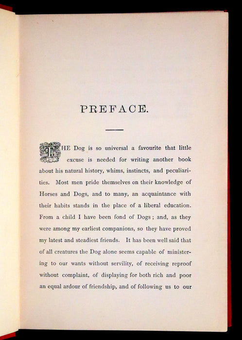 1890 Scarce Victorian Edition - Dogs, Their Sagacity, Instinct, and Uses; with Stories of Dog Life.