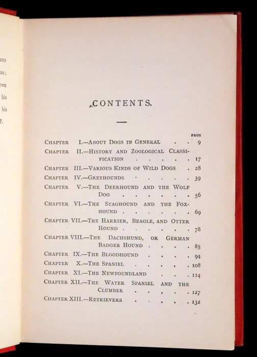 1890 Scarce Victorian Edition - Dogs, Their Sagacity, Instinct, and Uses; with Stories of Dog Life.