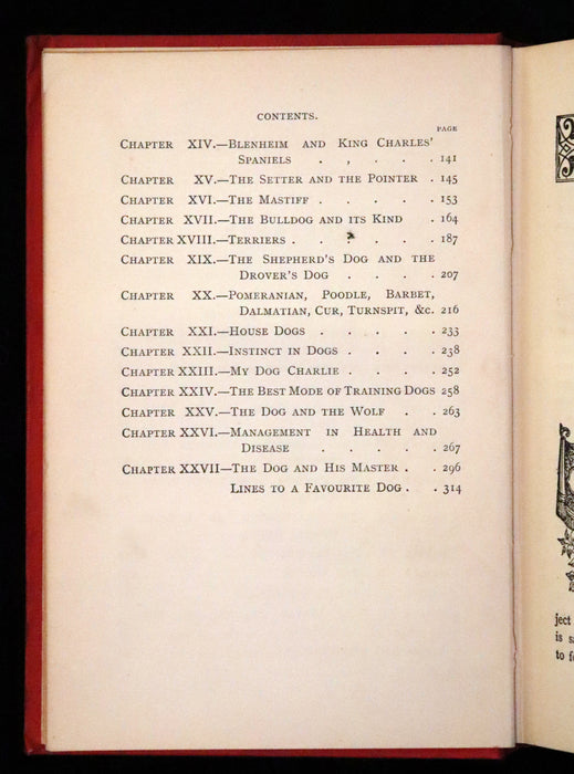 1890 Scarce Victorian Edition - Dogs, Their Sagacity, Instinct, and Uses; with Stories of Dog Life.