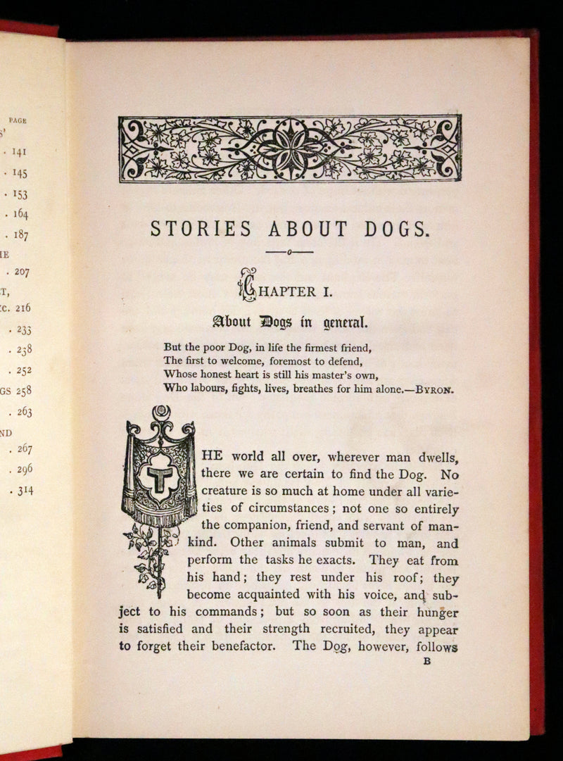 1890 Scarce Victorian Edition - Dogs, Their Sagacity, Instinct, and Uses; with Stories of Dog Life.