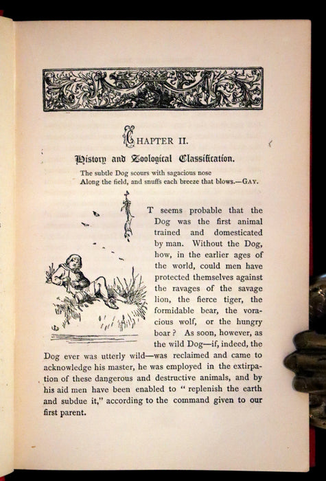 1890 Scarce Victorian Edition - Dogs, Their Sagacity, Instinct, and Uses; with Stories of Dog Life.