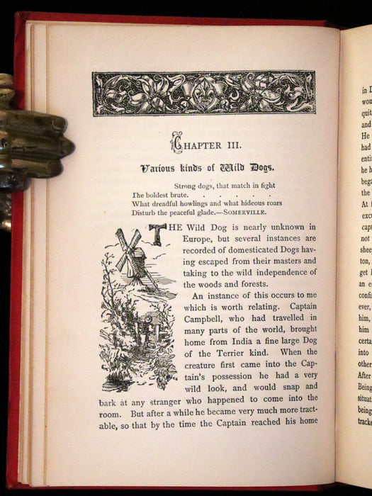 1890 Scarce Victorian Edition - Dogs, Their Sagacity, Instinct, and Uses; with Stories of Dog Life.