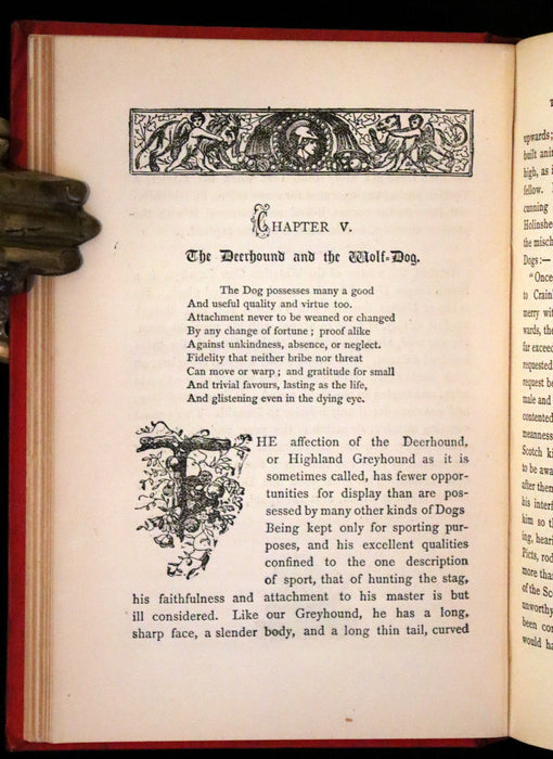 1890 Scarce Victorian Edition - Dogs, Their Sagacity, Instinct, and Uses; with Stories of Dog Life.