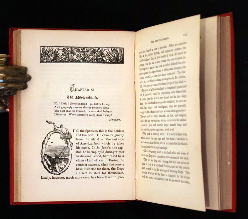 1890 Scarce Victorian Edition - Dogs, Their Sagacity, Instinct, and Uses; with Stories of Dog Life.