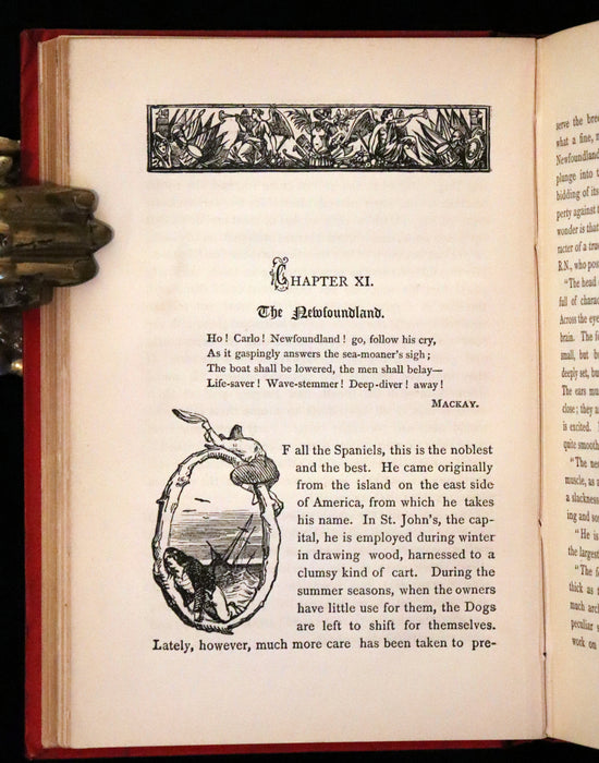 1890 Scarce Victorian Edition - Dogs, Their Sagacity, Instinct, and Uses; with Stories of Dog Life.