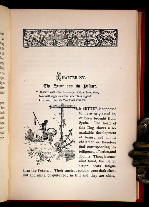 1890 Scarce Victorian Edition - Dogs, Their Sagacity, Instinct, and Uses; with Stories of Dog Life.