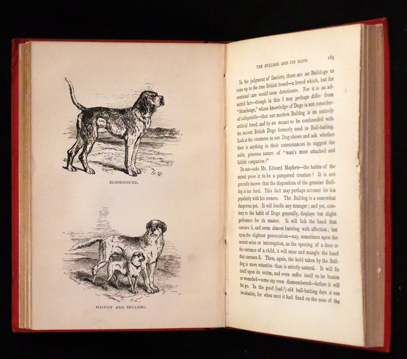 1890 Scarce Victorian Edition - Dogs, Their Sagacity, Instinct, and Uses; with Stories of Dog Life.