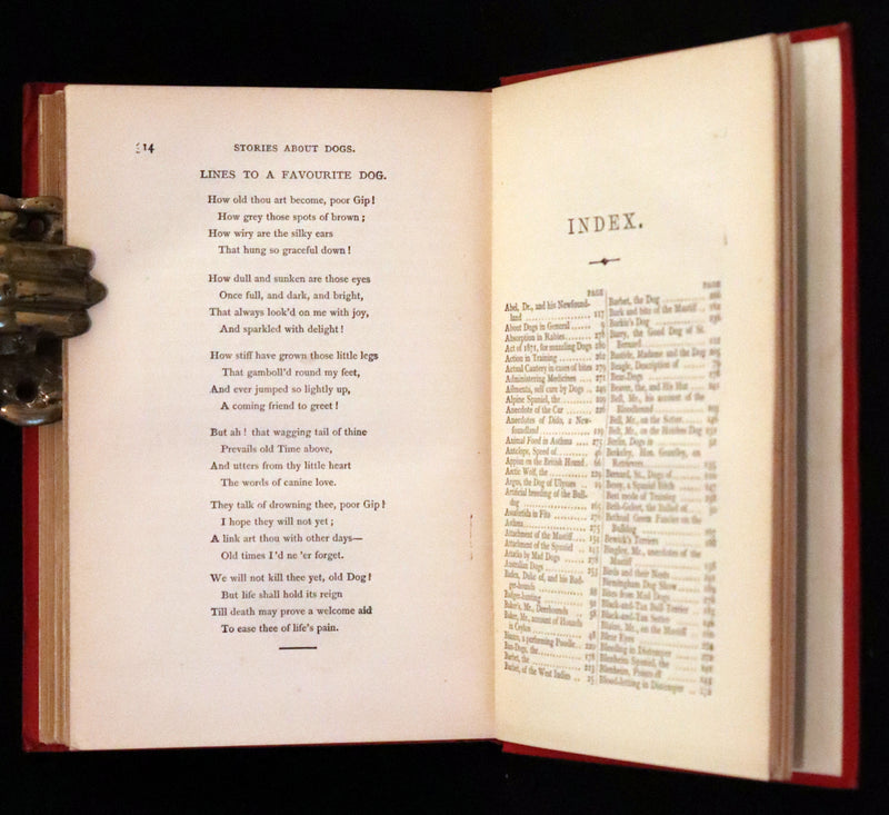 1890 Scarce Victorian Edition - Dogs, Their Sagacity, Instinct, and Uses; with Stories of Dog Life.