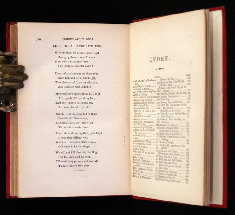 1890 Scarce Victorian Edition - Dogs, Their Sagacity, Instinct, and Uses; with Stories of Dog Life.