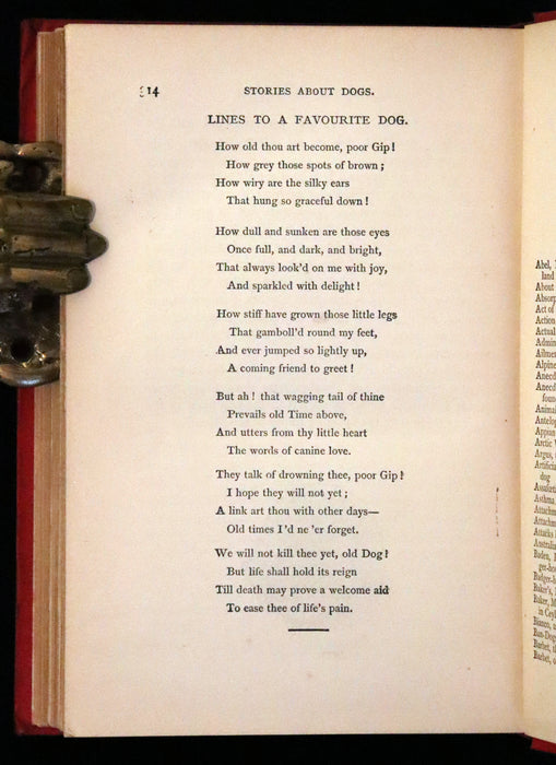 1890 Scarce Victorian Edition - Dogs, Their Sagacity, Instinct, and Uses; with Stories of Dog Life.