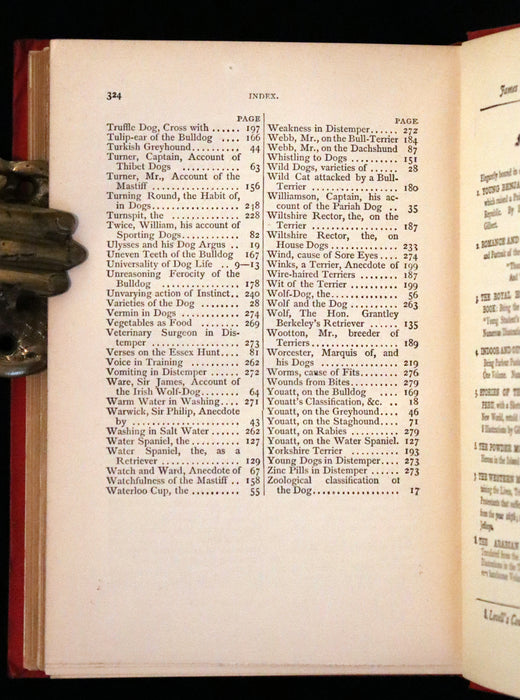 1890 Scarce Victorian Edition - Dogs, Their Sagacity, Instinct, and Uses; with Stories of Dog Life.