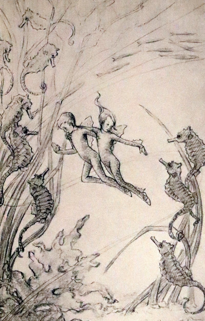 1929 Rare First Edition - Sandals of Pearl, Edith Howes Fairy Tale, illustrated by Audrey Chalmers.