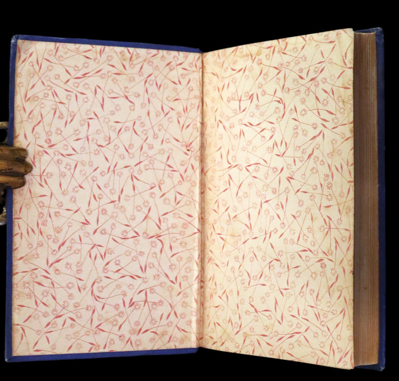 1887 Scarce Book - The Murders in the Rue Morgue and Other Tales by Edgar Allan POE (Pit and Pendulum, Fall of House of Usher, Narrative of A. Gordon Pym, ...).