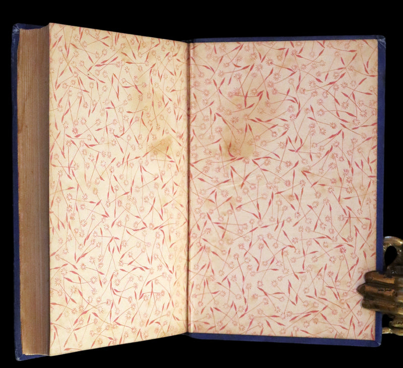 1887 Scarce Book - The Murders in the Rue Morgue and Other Tales by Edgar Allan POE (Pit and Pendulum, Fall of House of Usher, Narrative of A. Gordon Pym, ...).