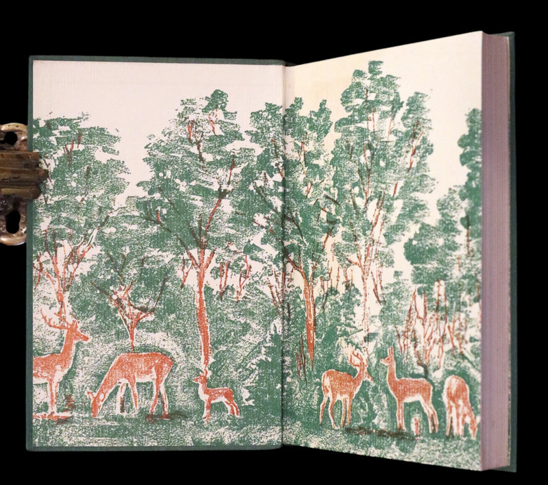 1928 Rare First UK Edition - Bambi a Life in the Woods by Felix Salten. Illustrated.