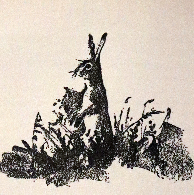 1928 Rare First UK Edition - Bambi a Life in the Woods by Felix Salten. Illustrated.