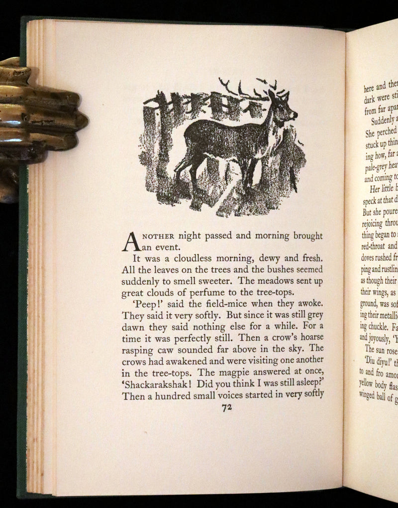 1928 Rare First UK Edition - Bambi a Life in the Woods by Felix Salten. Illustrated.