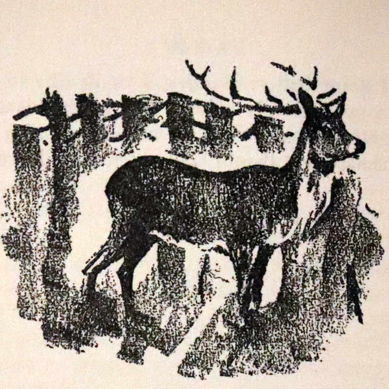 1928 Rare First UK Edition - Bambi a Life in the Woods by Felix Salten. Illustrated.