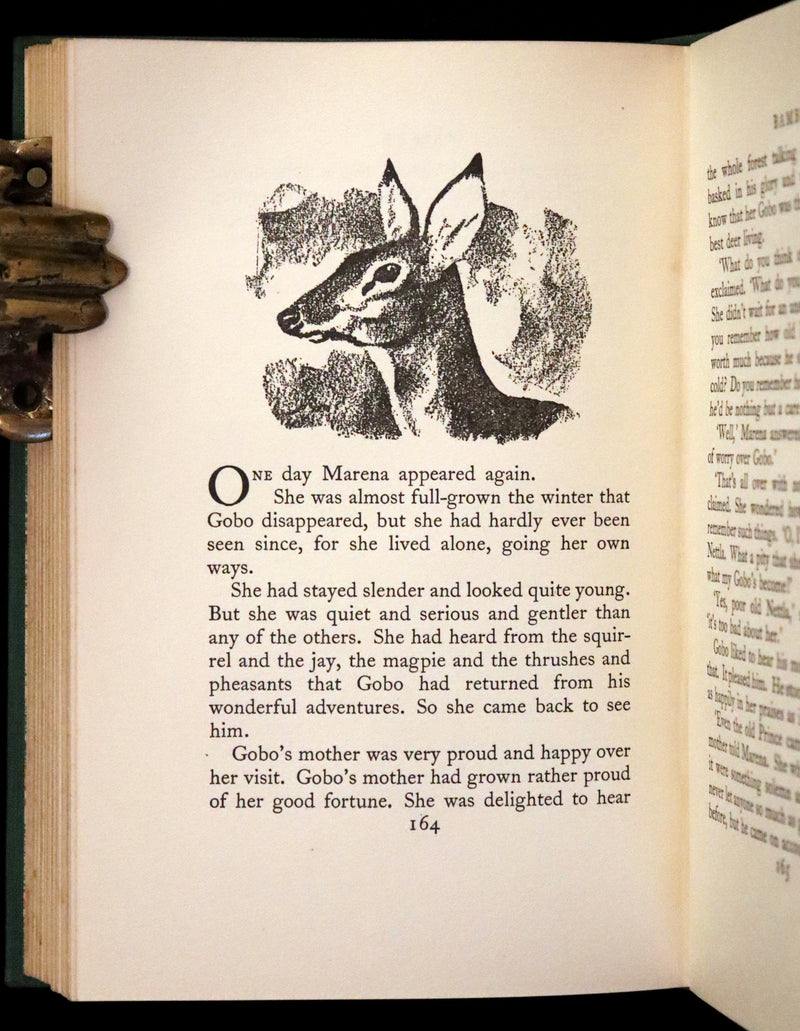 1928 Rare First UK Edition - Bambi a Life in the Woods by Felix Salten. Illustrated.