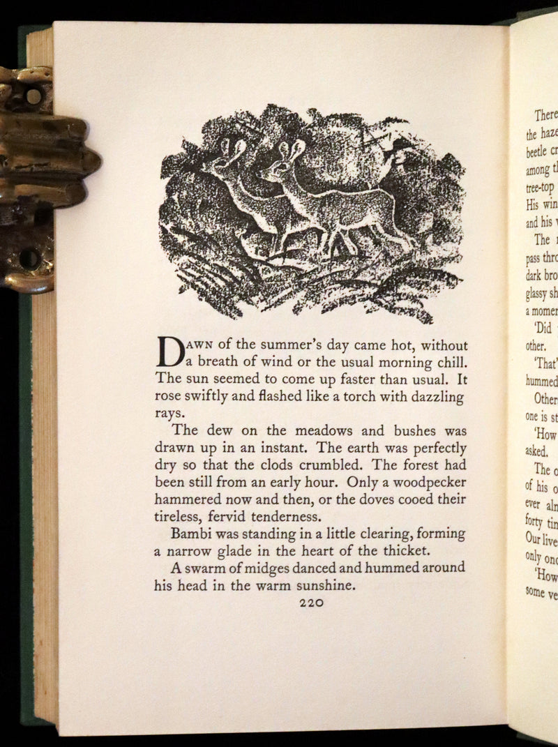 1928 Rare First UK Edition - Bambi a Life in the Woods by Felix Salten. Illustrated.