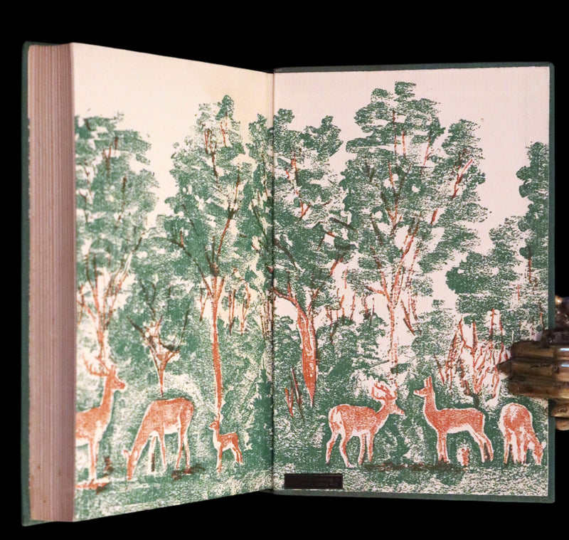 1928 Rare First UK Edition - Bambi a Life in the Woods by Felix Salten. Illustrated.