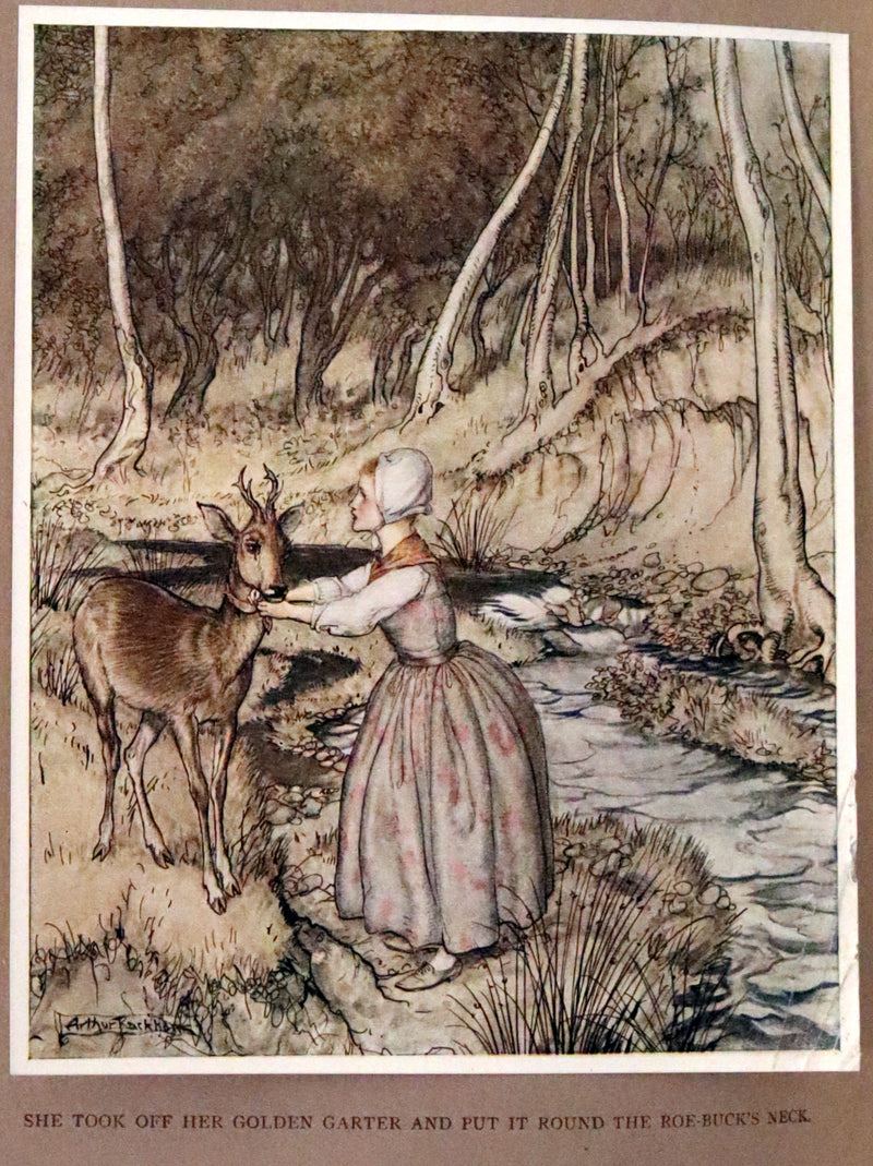 1917 Rare Rackham First Edition - Little Brother & Little Sister and Other Tales by Brothers Grimm.