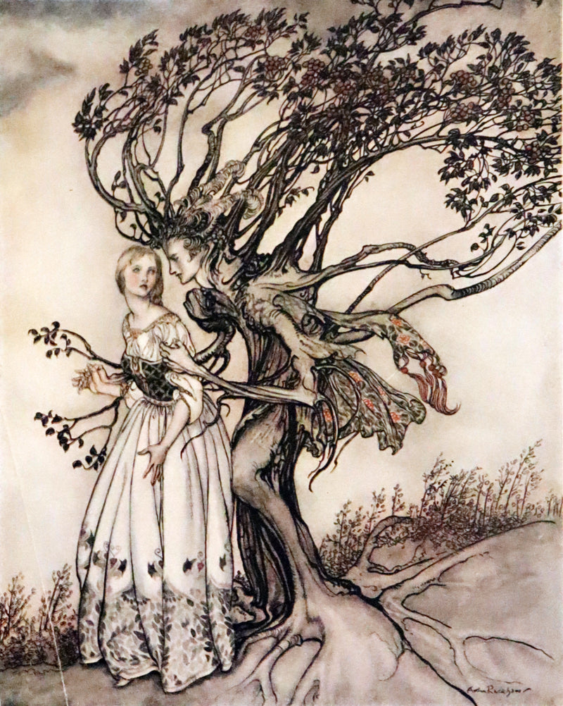 1917 Rare Rackham First Edition - Little Brother & Little Sister and Other Tales by Brothers Grimm.