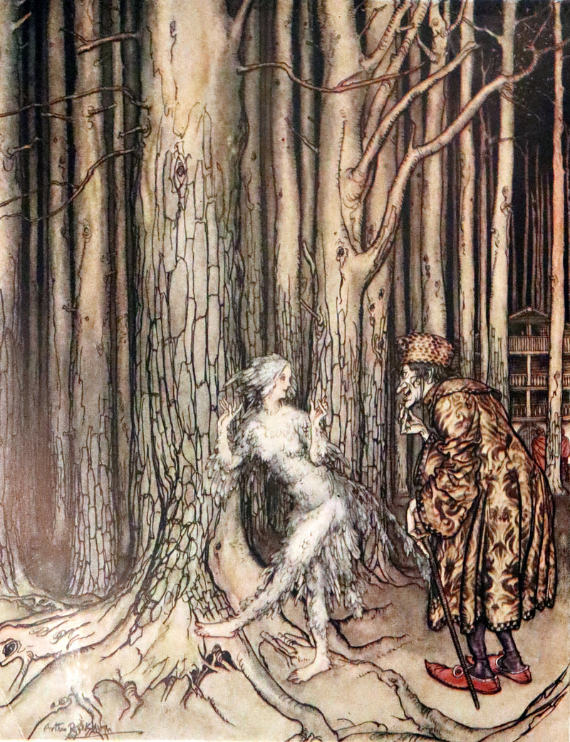 1917 Rare Rackham First Edition - Little Brother & Little Sister and Other Tales by Brothers Grimm.