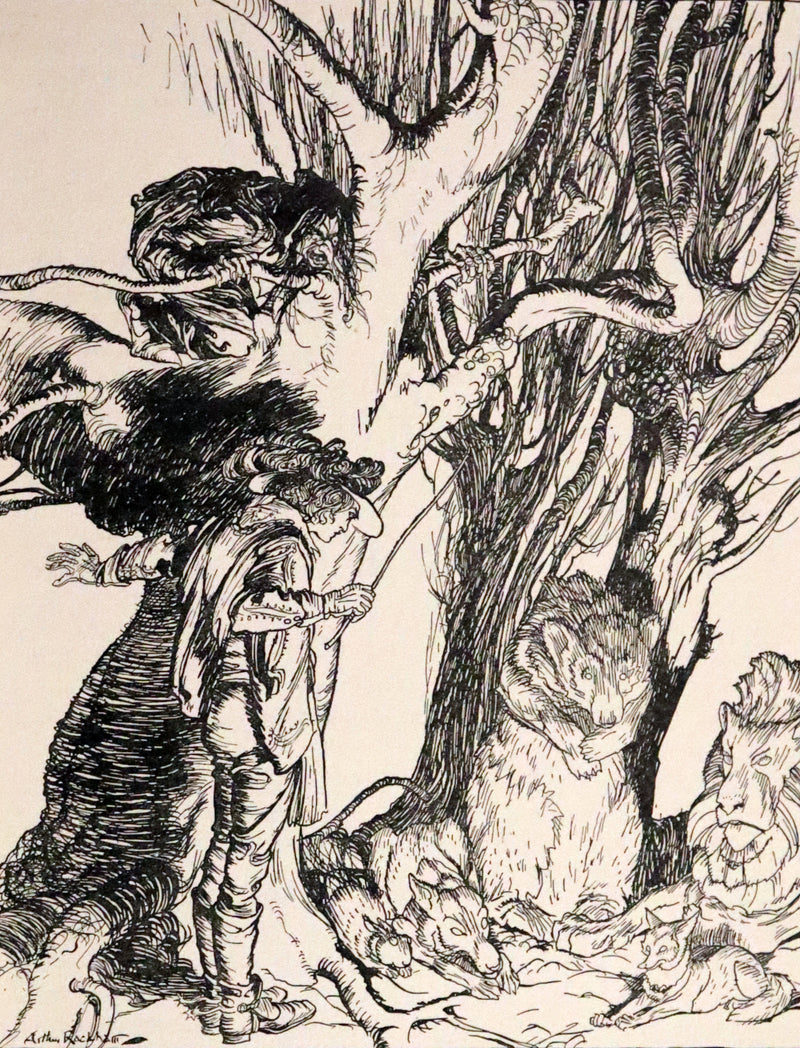 1917 Rare Rackham First Edition - Little Brother & Little Sister and Other Tales by Brothers Grimm.