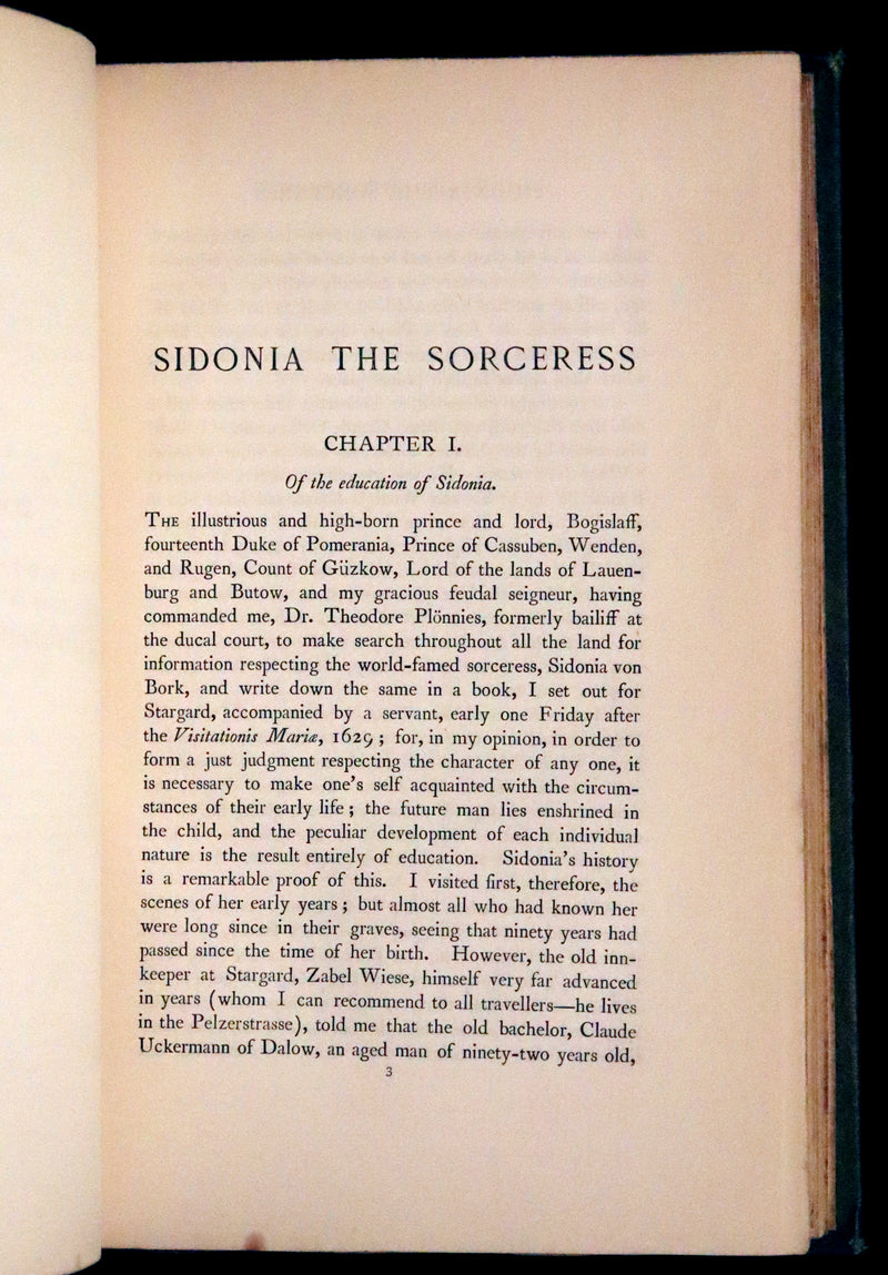 1894 Rare Book set - Sidonia the Sorceress and Mary Schweidler, The Amber Witch.