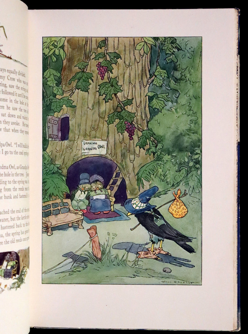 1917 Rare First Edition - My Very Own Fairy Stories by Johnny Gruelle. Illustrated.