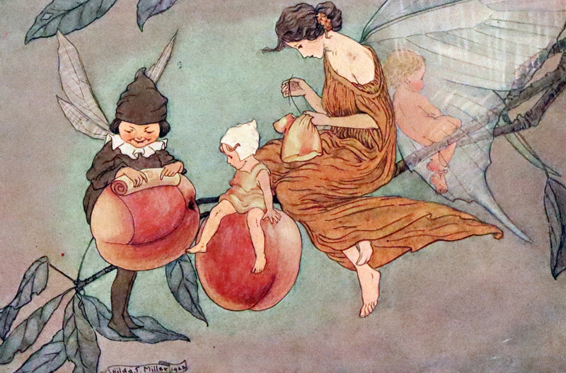 1923 Rare First Edition - The Rose Fyleman Fairy Book Illustrated by Hilda T. Miller.