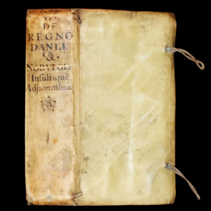 1629 Rare Latin First Edition - Of the Kingdom of Denmark and Norway by Stephanius.