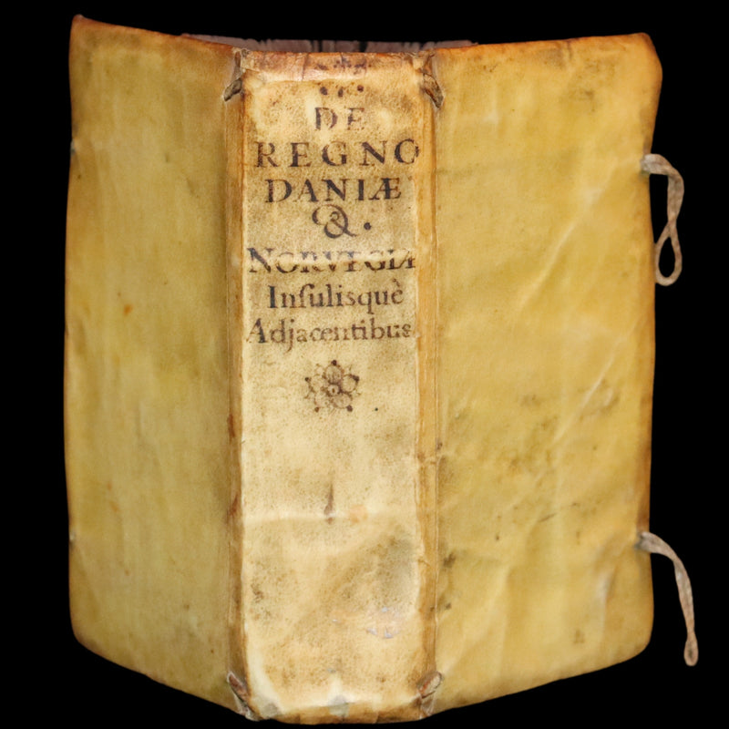 1629 Rare Latin First Edition - Of the Kingdom of Denmark and Norway by Stephanius.