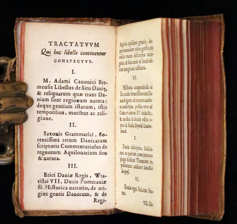 1629 Rare Latin First Edition - Of the Kingdom of Denmark and Norway by Stephanius.