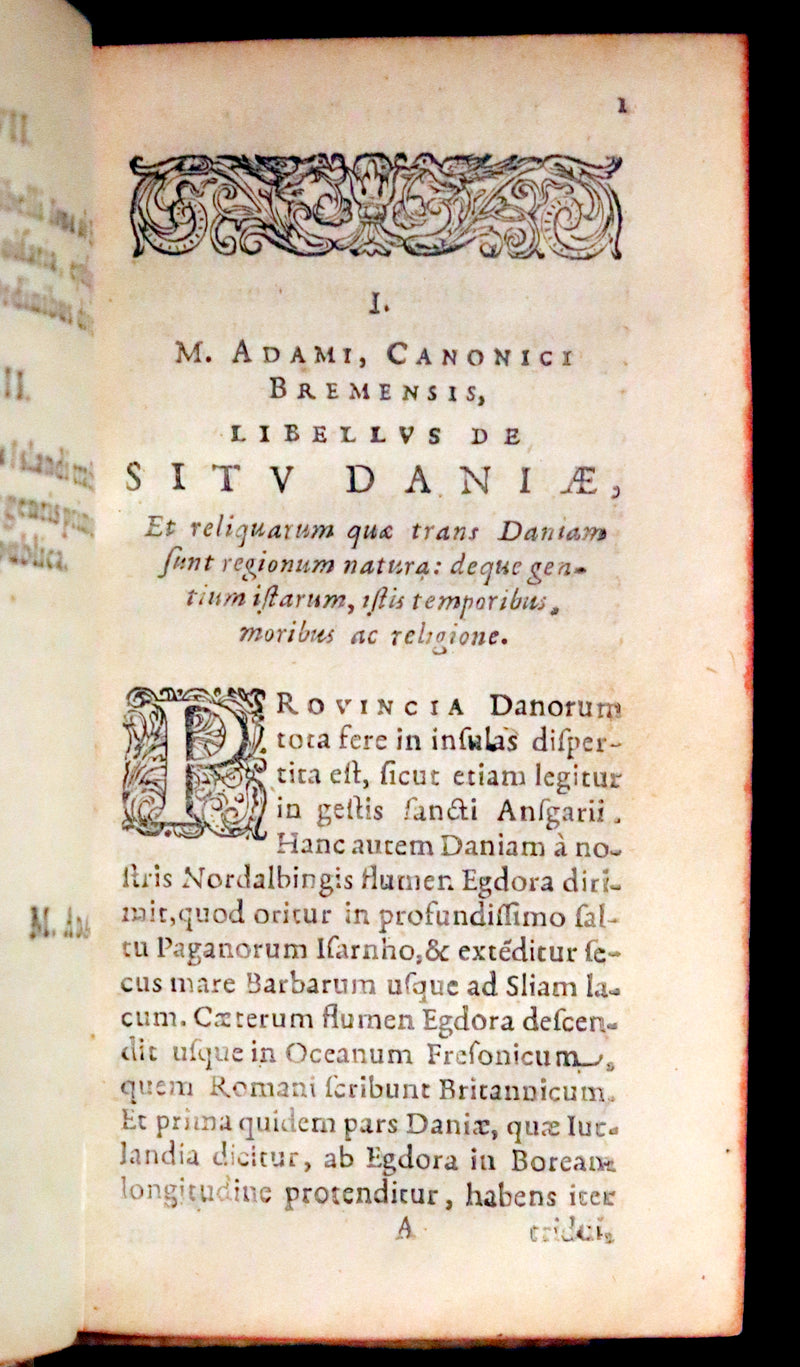 1629 Rare Latin First Edition - Of the Kingdom of Denmark and Norway by Stephanius.