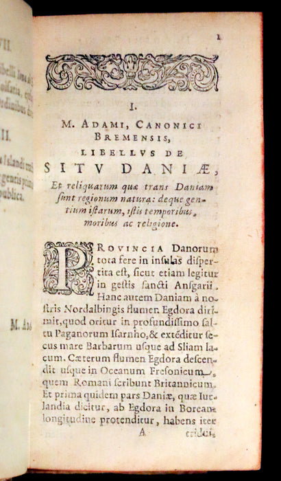 1629 Rare Latin First Edition - Of the Kingdom of Denmark and Norway by Stephanius.