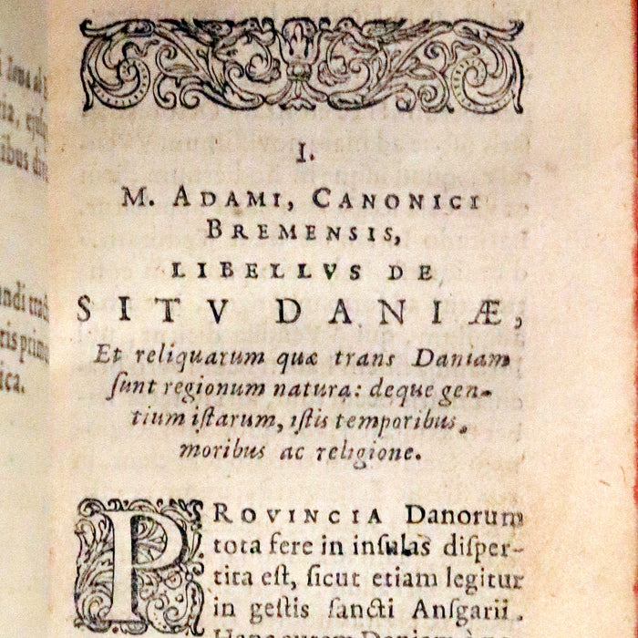 1629 Rare Latin First Edition - Of the Kingdom of Denmark and Norway by Stephanius.