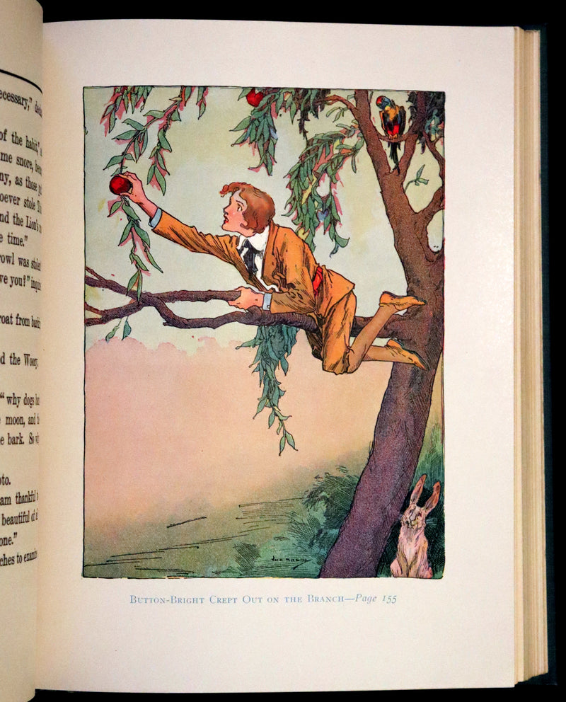 1917 Rare Oz Book - The Lost Princess of Oz by L. Frank Baum, Illustrated by JNO R. Neill.
