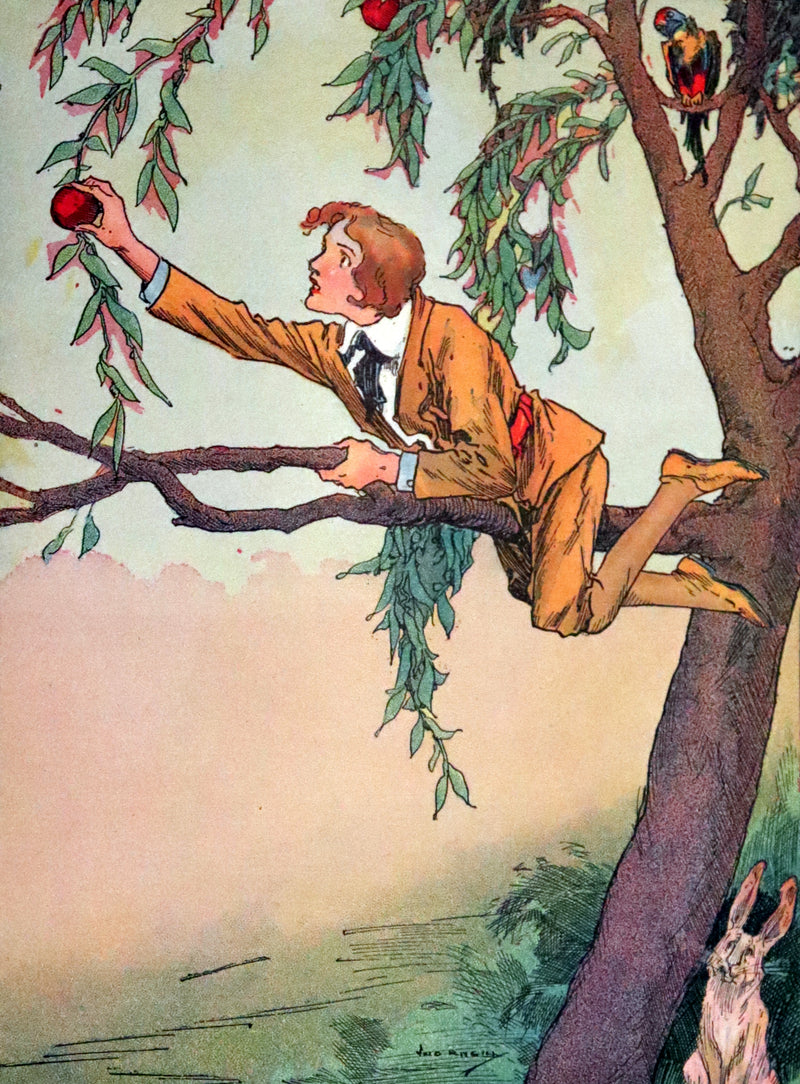 1917 Rare Oz Book - The Lost Princess of Oz by L. Frank Baum, Illustrated by JNO R. Neill.