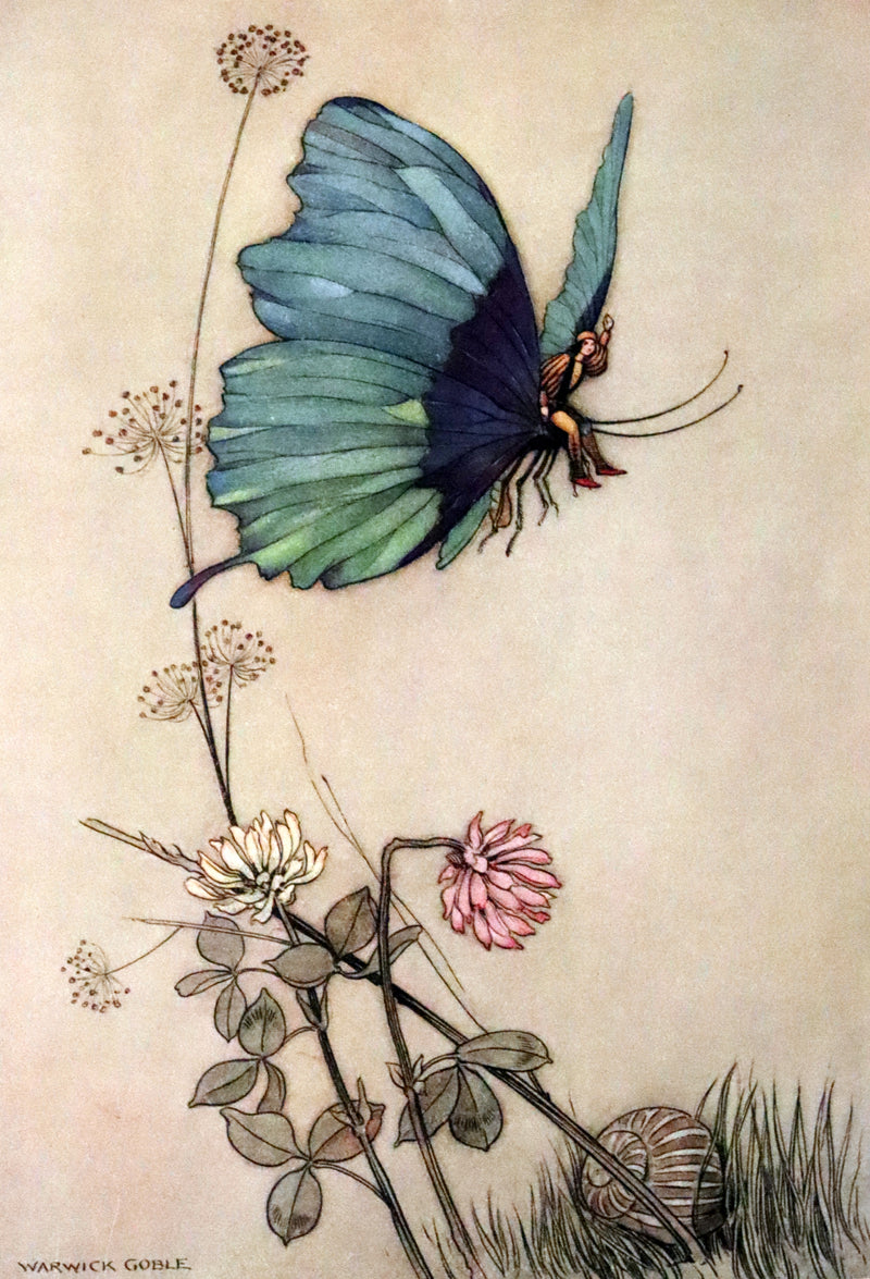 1923 Rare 1st Octavo Edition - The Fairy Book by Dinah Craik Illustrated by Warwick Goble.