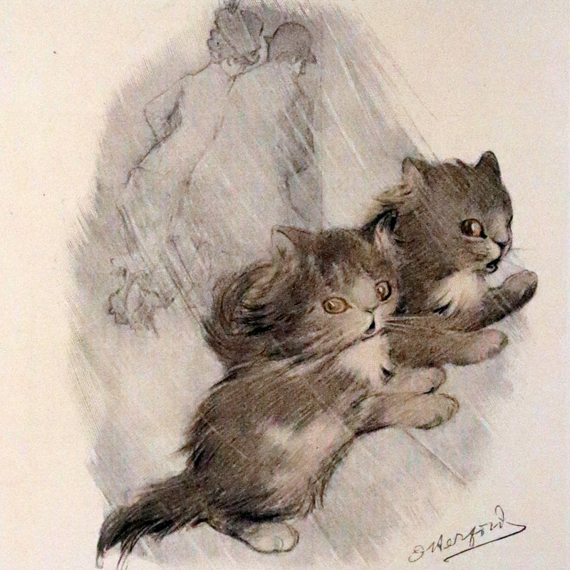 1911 Scarce First Edition with Dustjacket - The Kitten's Garden of Verses by Oliver Herford.