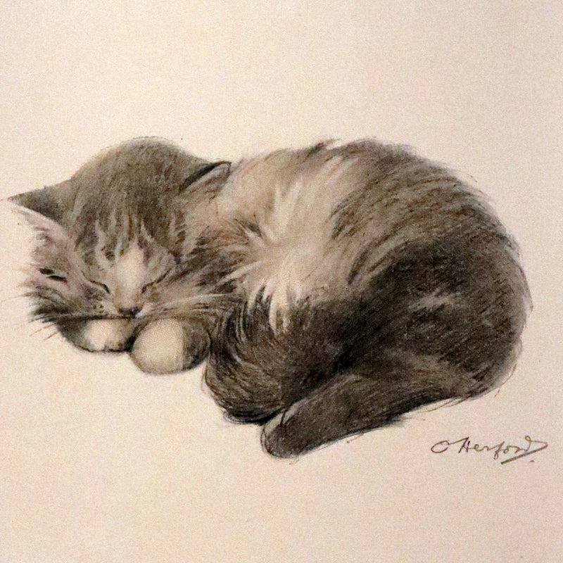 1911 Scarce First Edition with Dustjacket - The Kitten's Garden of Verses by Oliver Herford.