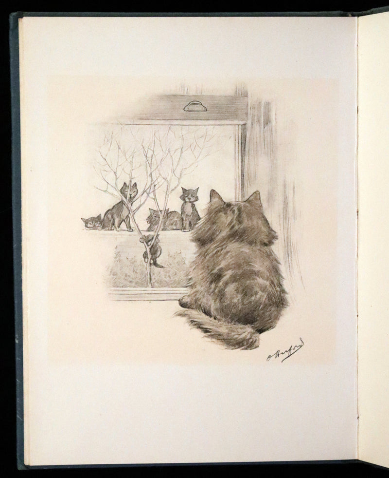 1911 Scarce First Edition with Dustjacket - The Kitten's Garden of Verses by Oliver Herford.