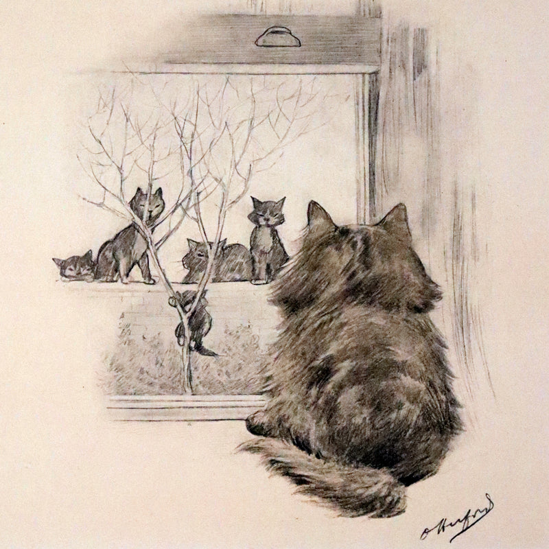 1911 Scarce First Edition with Dustjacket - The Kitten's Garden of Verses by Oliver Herford.