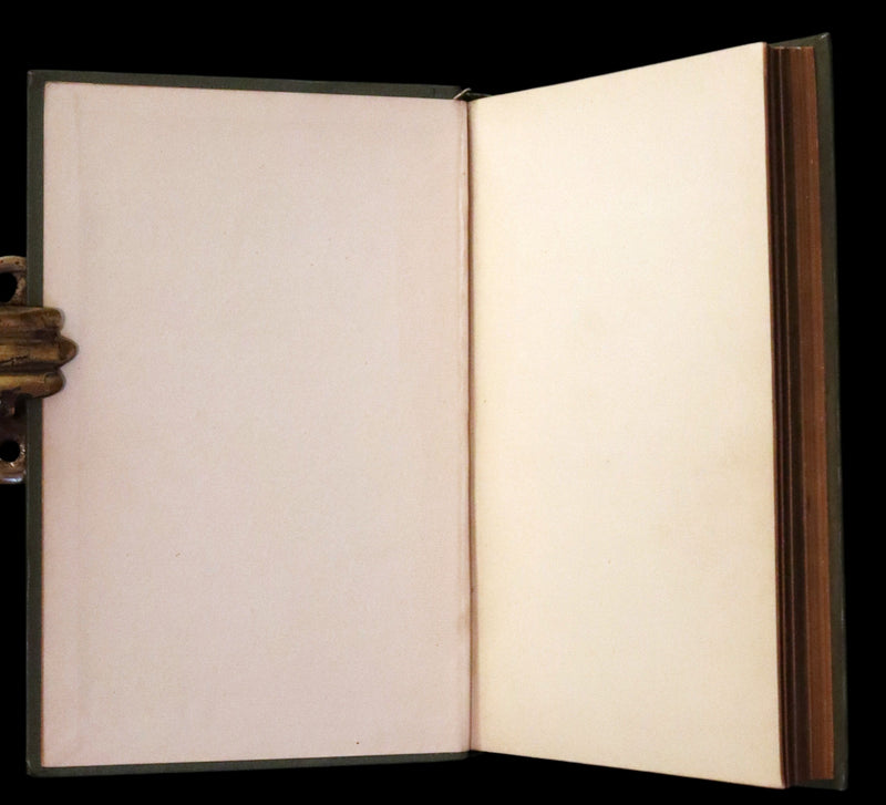 1882 Rare Book - Poems by Edgar Allan Poe with Memoir (The Raven, Lenore,...). Illustrated.