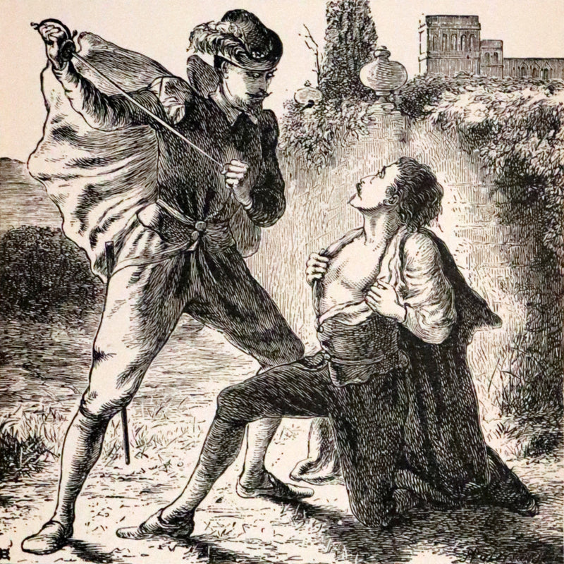 1882 Rare Book - Poems by Edgar Allan Poe with Memoir (The Raven, Lenore,...). Illustrated.